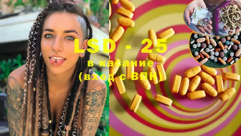 закладка  Шуя  Лсд 25 экстази ecstasy 