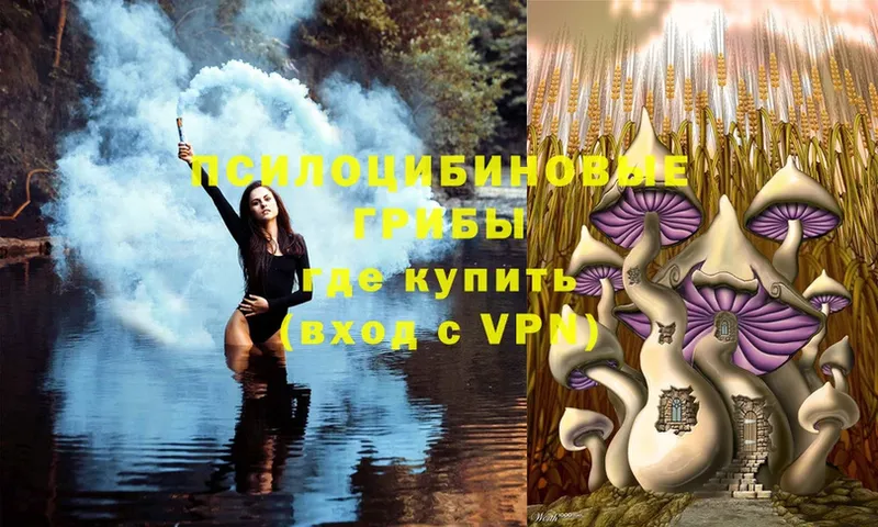 Галлюциногенные грибы Magic Shrooms  гидра ТОР  Шуя 